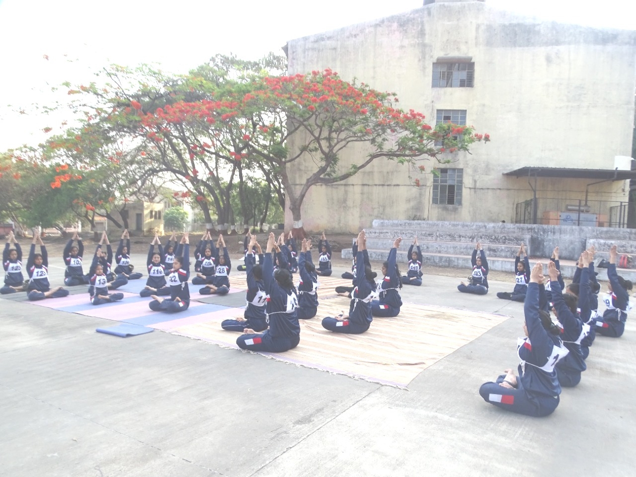 SMTC 6